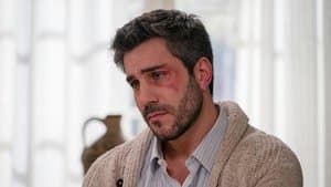 Episodio 248