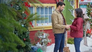 Tú yo y los árboles de Navidad — foto 9
