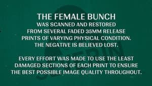 The Female Bunch — foto 8