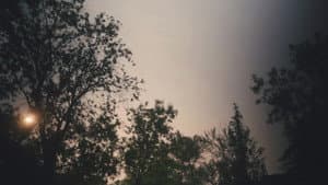 To All That We Are — foto 4