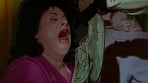 Polyester — foto 7