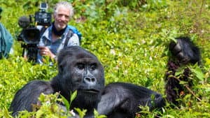Gorilla Family & Me — foto 1