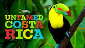 Untamed Costa Rica with Filipe DeAndrade — foto 12