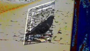 não tenho dormido muito mas continuo sonhando a cada piscada — foto 1