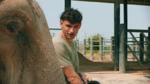 Episodio 8
