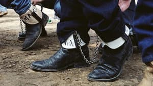 Sweethearts of the Prison Rodeo — foto 1