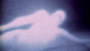 Carolyn III — foto 1