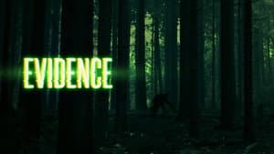Evidence — foto 1
