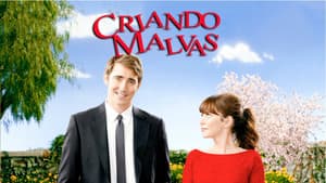 Criando malvas — foto 7