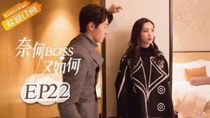 Episodio 22