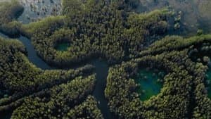 Los Horrores de Caddo Lake — foto 7