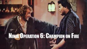 Ninja Operation 6: Champion on Fire — foto 5