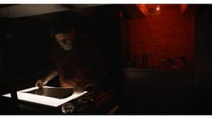 Darkroom Diaries — foto 1