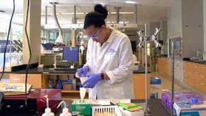 Mujeres en la ciencia — foto 1