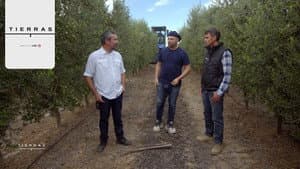 Episodio 6