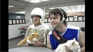 Laser Cats! — foto 1
