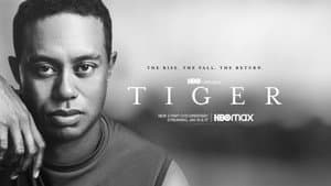 Tiger — foto 2