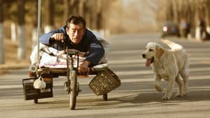 忠爱无言 — foto 1