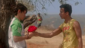 El tigre y la flor — foto 1