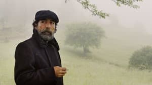 Rüzgarın Hatıraları — foto 5