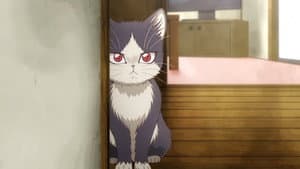 Doukyonin wa Hiza, Tokidoki, Atama no Ue — foto 4