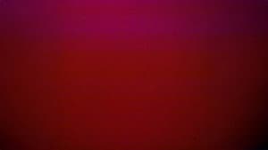 Lights Gone Out — foto 1