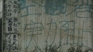 風景の死滅 — foto 5