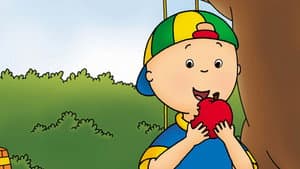 Caillou — foto 7