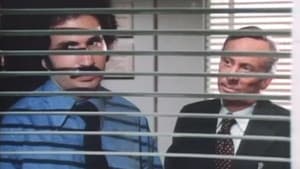 Episodio 19