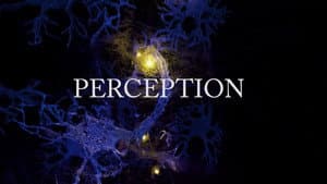 Perception — foto 2