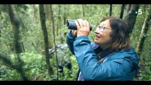 Ivohiboro: La Forêt Oubliée — foto 4