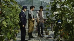 ノイズ — foto 6