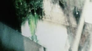 Chimera — foto 1