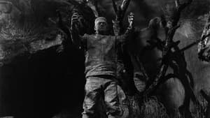 El Fantasma de Frankenstein — foto 3