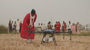 From Fields to Flight — foto 1