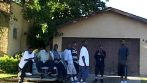 Gang Tapes — foto 2