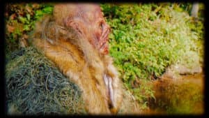 Bigfoot's Bride — foto 3