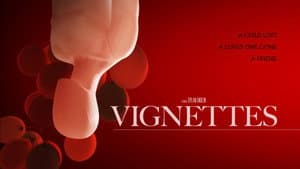Vignettes — foto 2