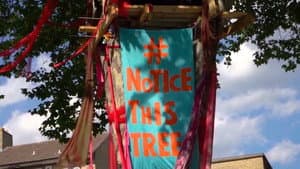 The Happy Man Tree — foto 1