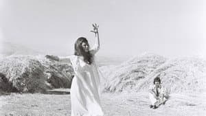 قطط شارع الحمرا — foto 12