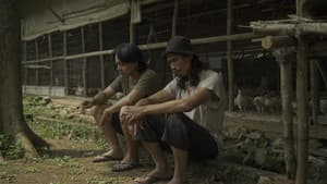 Ayam Maya — foto 1