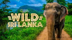 Wild Sri Lanka — foto 4