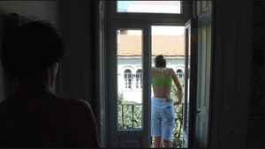 Morreram as Vacas e Ficaram os Bois — foto 1