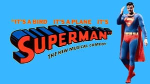 It's a Bird, It's a Plane, It's Superman! — foto 3