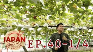 Episodio 40