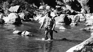 Many Rivers to Cross — foto 5