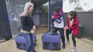 Episodio 7