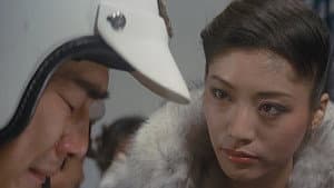 後から前から — foto 6