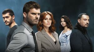 Çarpışma — foto 8