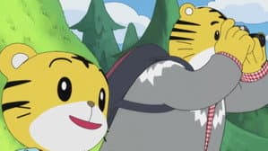 Episodio 12